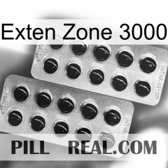 Exten Zone 3000 new08